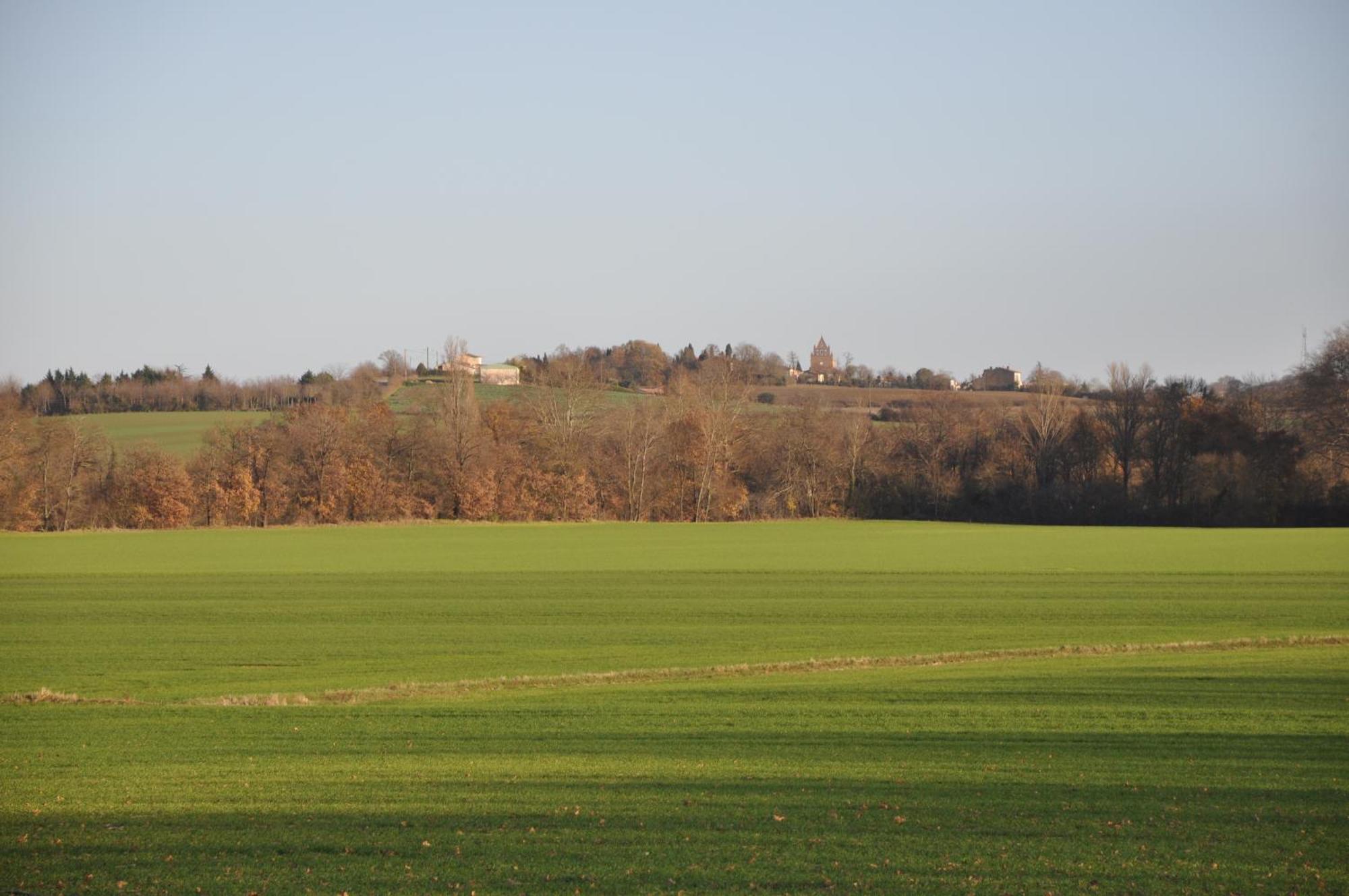 Montgaillard-Lauragais Domaine De Hurlevent المظهر الخارجي الصورة