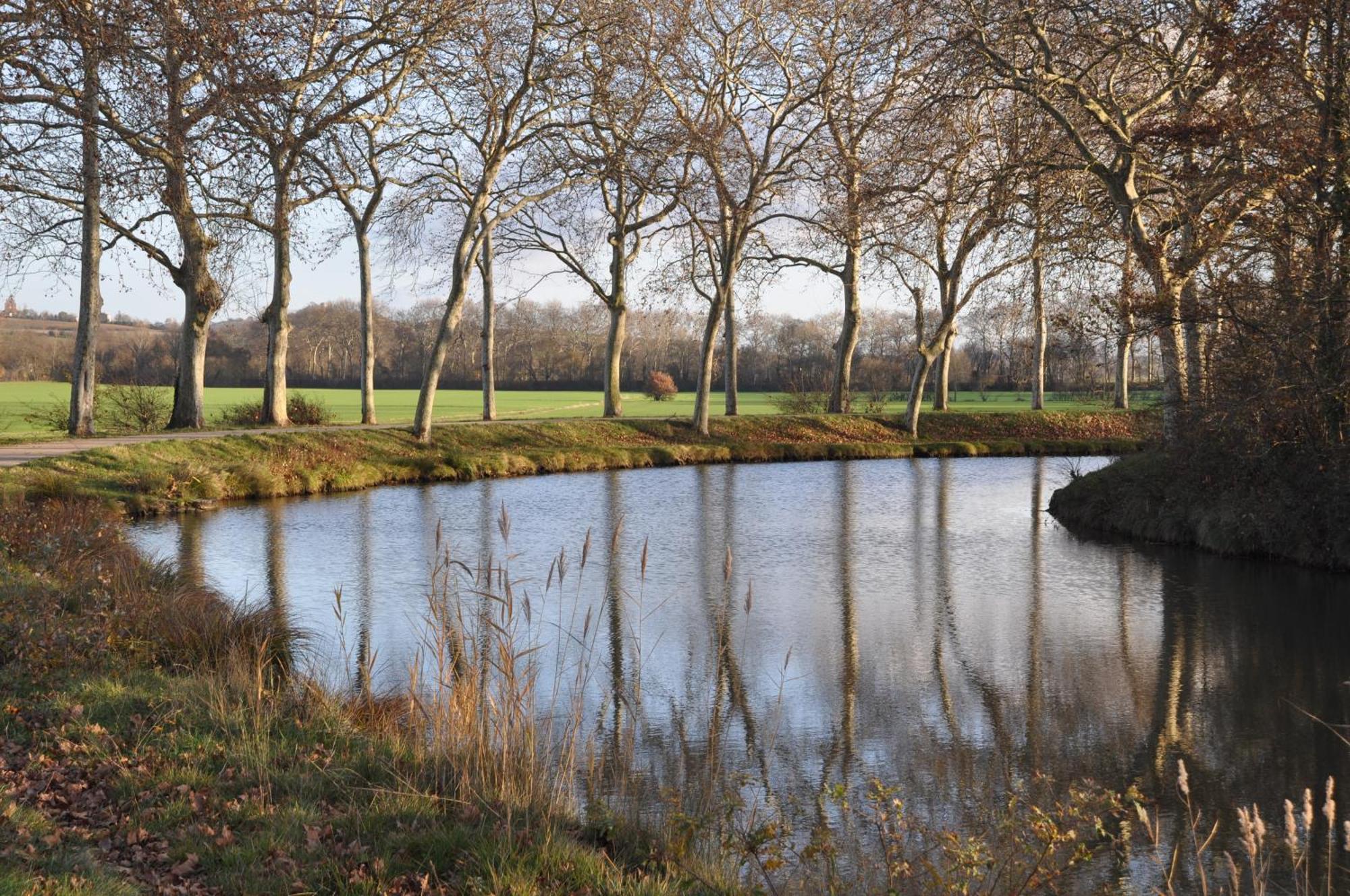 Montgaillard-Lauragais Domaine De Hurlevent المظهر الخارجي الصورة